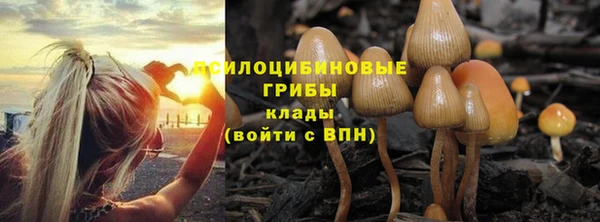 скорость Алексин