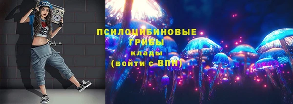прущая мука Алзамай