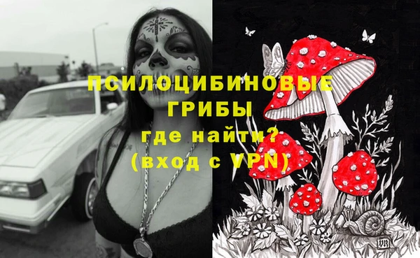 прущая мука Алзамай