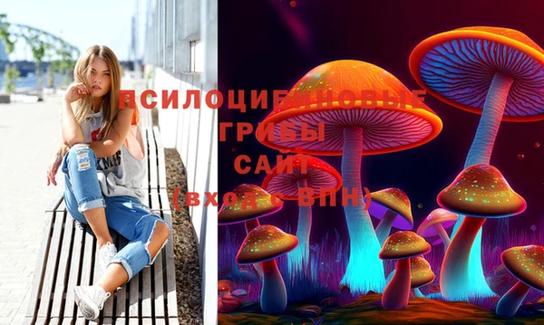 прущая мука Алзамай